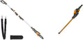 WORX WG349E.9 Hochentaster und Teleskop-Astsäge – Akku-Betrieb, Teleskopstiel, 20V, für die Gartenpflege