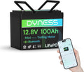 Dyness LiFePO4 LiFePO4-Batterie und Solar-Speicherbatterie, solarbetrieben, 100Ah, 12V, mit BMS, für Zyklenbetrieb, für Boot und Bordstrom