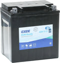 Exide AGM12-31 Versorgungsbatterie und Solar- und Freizeitakku, 30Ah, 12V, 430A